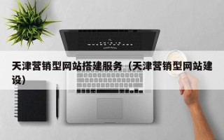 克拉玛依天津营销型网站搭建服务（天津营销型网站建设）